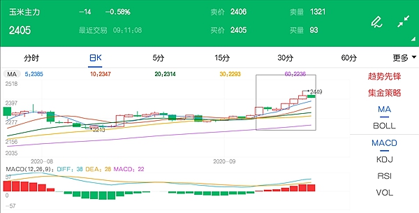 市场看涨氛围浓厚 玉米价格累计涨超28%