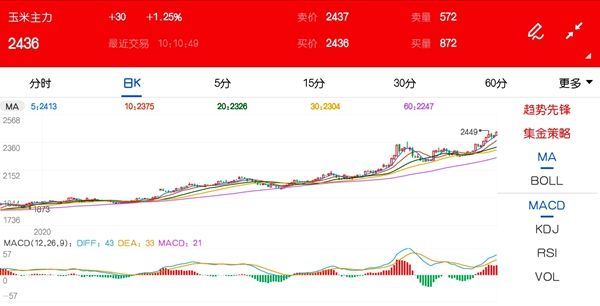 玉米价格行情火爆 背后上涨逻辑是