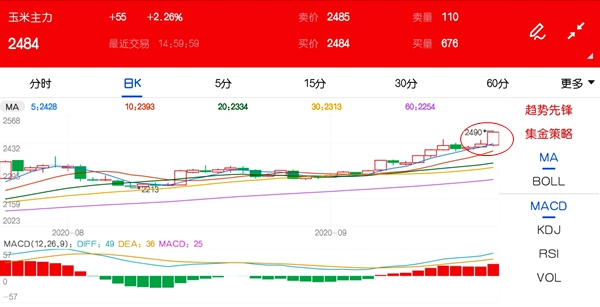 玉米价格最新消息 2500关口近在咫尺