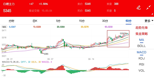 双节备货促使上涨 白糖价格行情振荡偏强