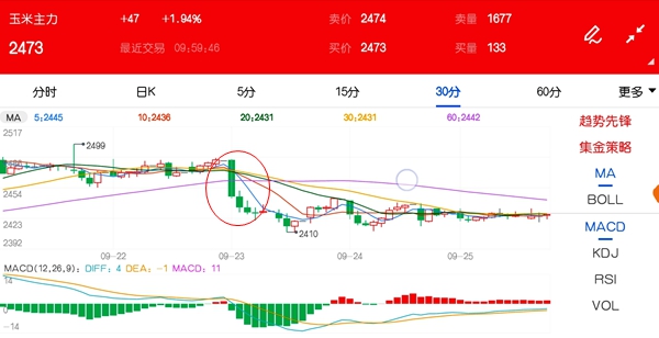 新产玉米开秤价高开高走 每吨同比上涨数百元